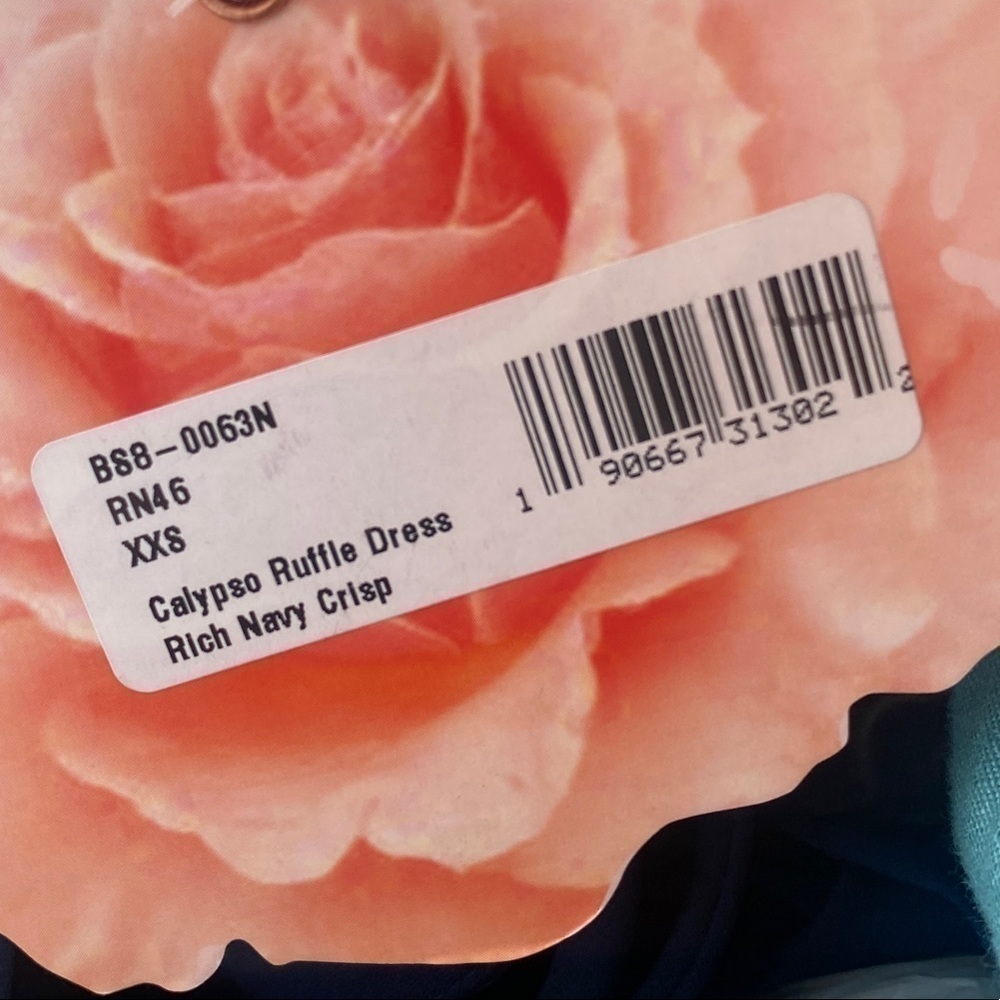NWT - Show Me Your MuMu Ruffle Maxi Dress - Picture 6 of 6